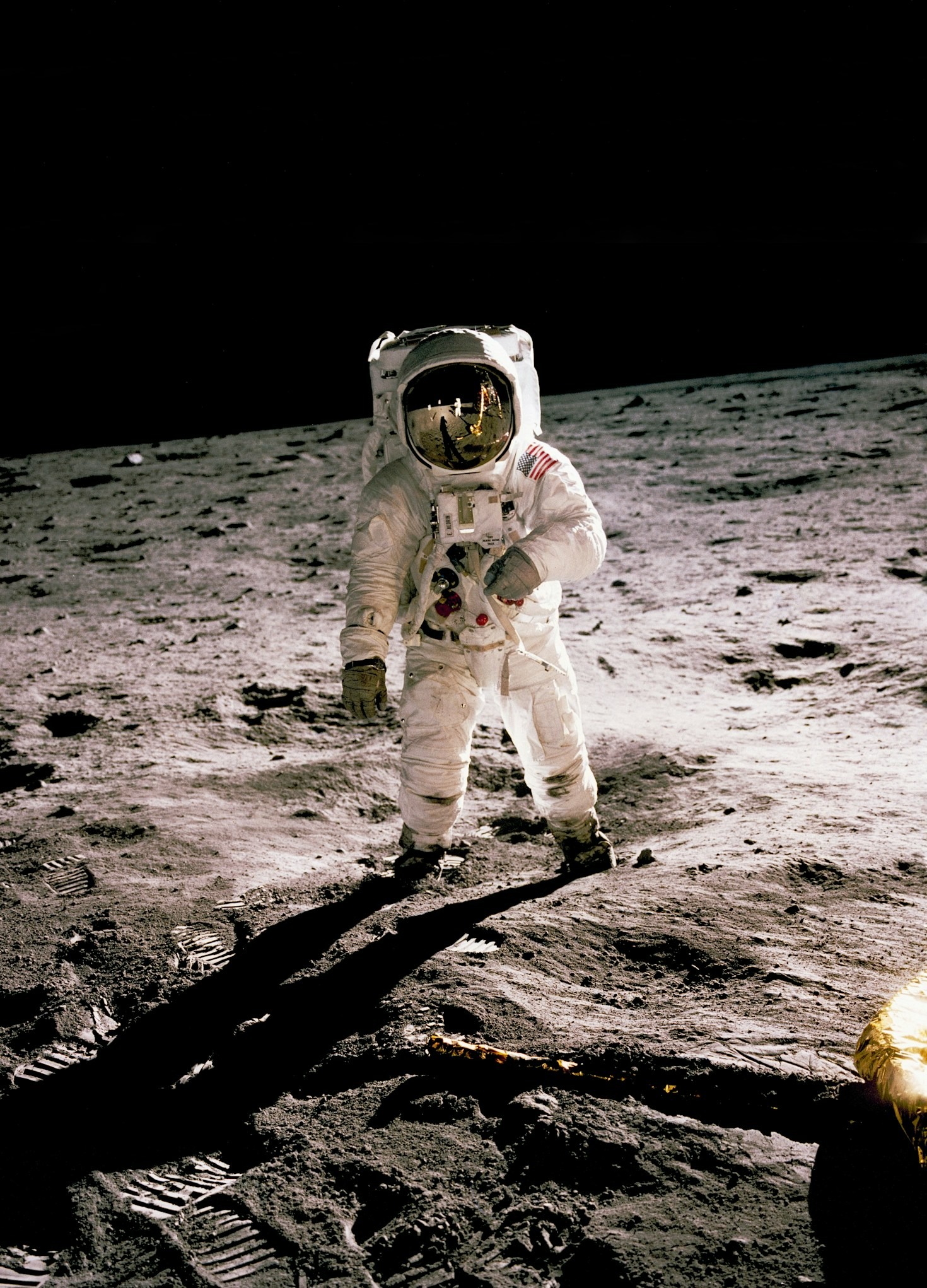 Why Curiosity is the Key to Lifelong Learning